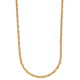 sally long chain necklace