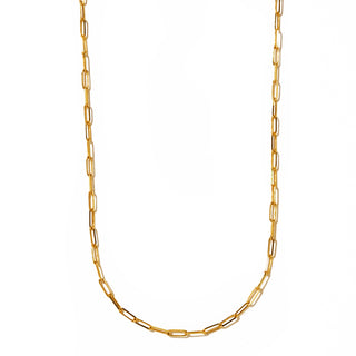 shine long necklace