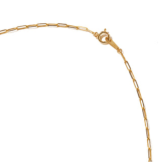 shine long necklace